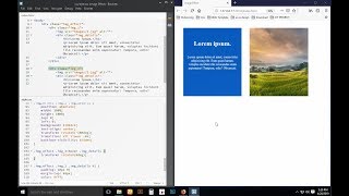 Image Effect with html and css3 (Transform) | Tricks for you - 2019