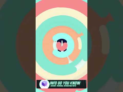 THE NIGHTLY ACTIVITIES OF YOUR BRAIN #shorts #brain #didyouknow