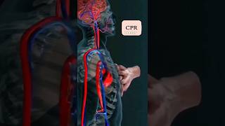#CPR 🫁🫀🫀#doctor👀👀❣️❣️🩸🩸🫀🫀😍😍😍🥰🥰❣️❣️ short video