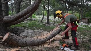 Couple Makes DIY Exterior Fire Pit with Curved Log Benches - 1303178
