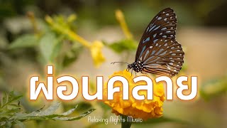 ดนตรีเพราะๆ ผ่อนคลาย เติมพลังใจในการทำงาน ฟังแล้วมีความสุข - Relaxing Nights Music