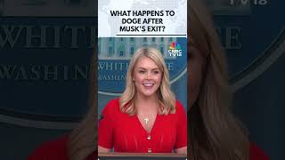What Happens To DOGE After Musk's Exit? | N18G | CNBC TV18