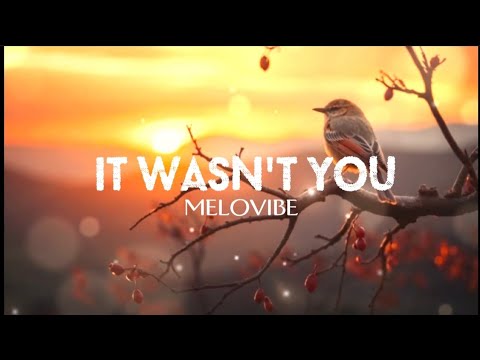 IT WASN'T YOU By MELOVIBE
