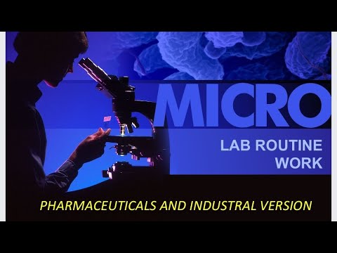 Microbiology laboratory routine work | Microbiology lab work
