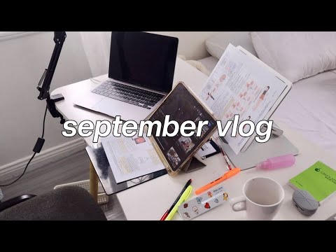 This Homebody Finally Went Out, Planning a Trip With Friends, Room Makeover