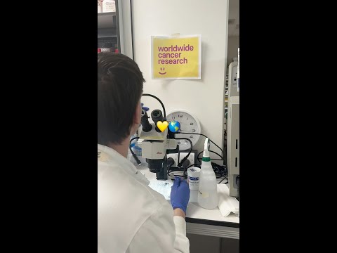 What does cancer research look like?