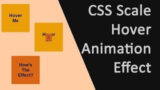 CSS Hover Animation Effect | CSS Transform Scale Hover | csPoint