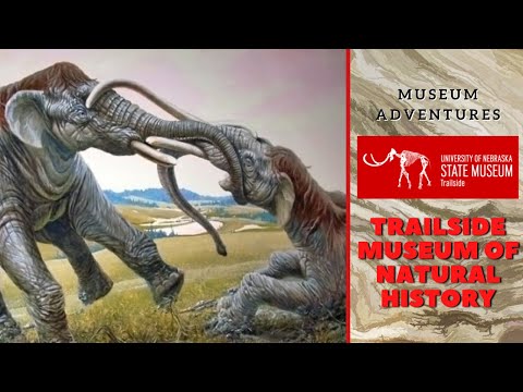 Museum Adventures: Trailside Museum of Natural History