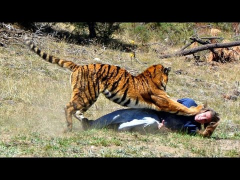 Adventure Of Sundarban
