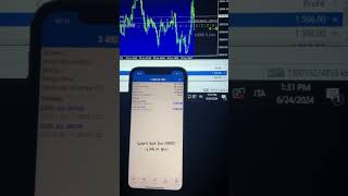 profitable algo trading bot, hft , high frequency trading, forex , ea profitable