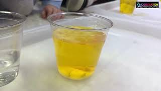Hands On Science Experiments For Kids:  Dancing Corn