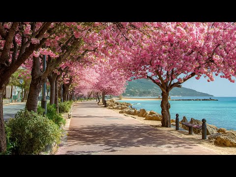 Relaxing Music to Stop Overthinking – Calm Your Mind, Reduce Stress, and Fall Asleep Peacefully