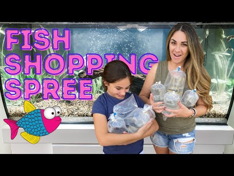 🐠 FISH SHOPPING SPREE • Lunch • Ice Cream