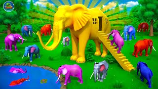 Golden Elephant House: Elephants vs Predators Lion Tiger Wolf | Animal Kingdom Movie