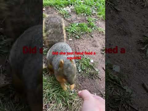 Hand feeding squirrel’s