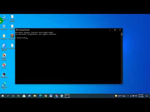 Class 11: Flutter Android Studio Android-licenses
