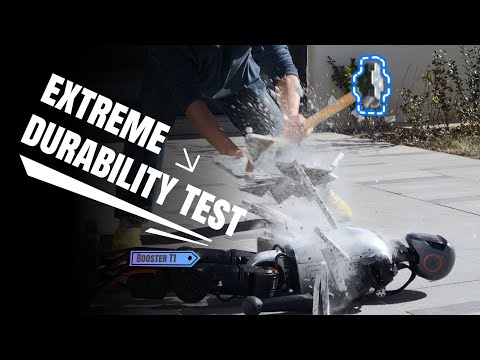Amazing! Booster T1 can do Kung Fu!