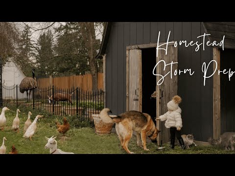 #9 Peaceful Countryside Vlog  | Bracing for a Storm and Restoring Order