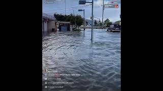 Wttaudit 1/3 looking deeper California 