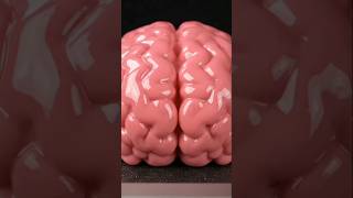 Crushing a Brain 🧠 🤯 #BrainCrush #CrushSatisfy #youtubeshorts #ASMR #SlimeCrush #CrushIt #ytshorts