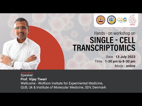 Single - Cell Transcriptomics