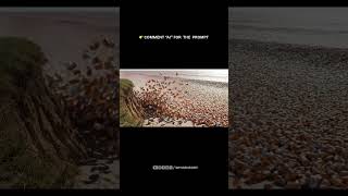 𝗔𝗻 𝗼𝗰𝗲𝗮𝗻 𝗼𝗳 𝗽𝘂𝗿𝗲 𝗙𝗮𝗻𝘁𝗮 👇#FantaVibes #Hyperrealism #CGIart #AImagined #VisualConcept #CreativeStudio