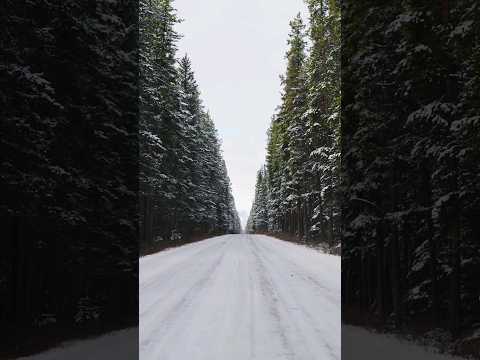 This Road Makes Me Happy #cinematography