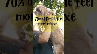"Feel 70% More Relaxed by Doing THIS! 🐶 | #FunFact"