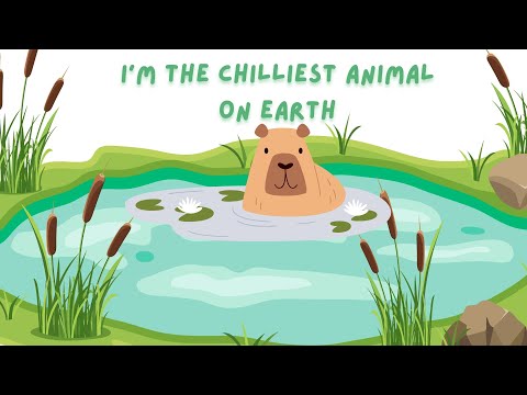 Meet the Capybara: The chilliest animal on Earth!