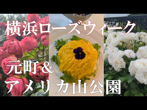 【横浜散歩】薔薇🌹第三弾｜アメリカ山公園｜元町｜横浜ローズウィークを巡る🕊️