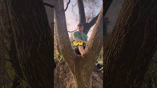 Doing THIS could be destroying your music’s feel and groove… #musicproductiontips