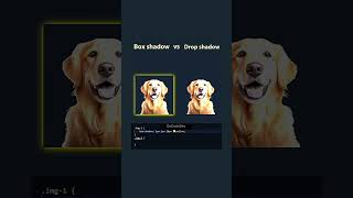Box vs Drop shadow in CSS    SAVE FOR LATER  Boost your web dev skills  Frontend develop #html
