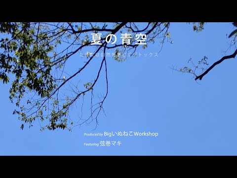 【弦巻マキ】夏の青空【オリジナル曲】【夏の歌】