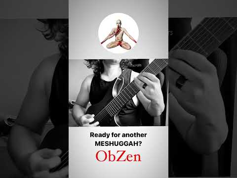 Meshuggah - Obzen ( cover )