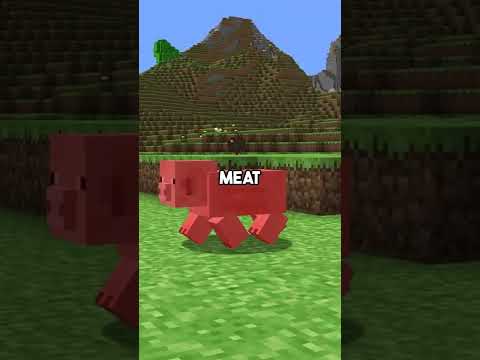 Minecraft Food Used To Be Annoying!