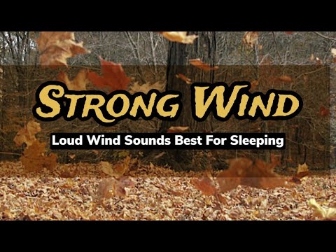 Strong Wind — Sounds of strong winds perfect for sleeping 😴 — 100% Relaxation