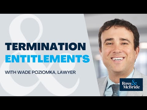 Recently let go from your job and not sure about your rights? | Wade Poziomka Explains