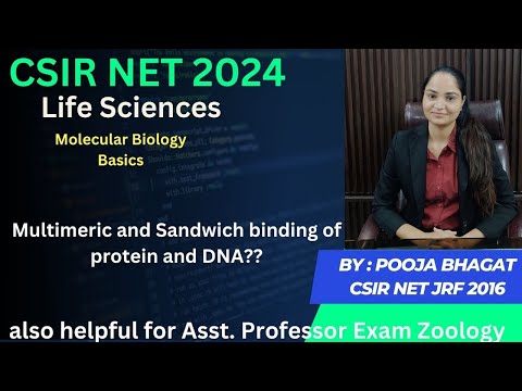 Multimeric and Sandwich binding of protein and DNA #csirnet #zoology #lifescience #neet #biology