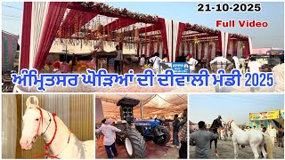 Amritsar Horse Diwali Mandi 2025 // Amritsar Horse Diwali Mandi 2025 / Shonki Jatt