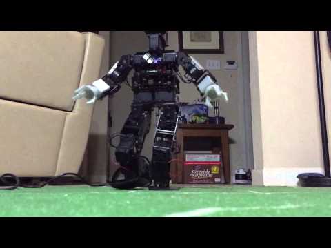 HR-OS1 Slow Walk Tune Review 1 of 2