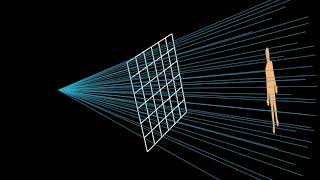 Neural Radiance Fields for Novel View and Human Pose Synthesis