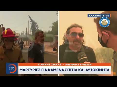 Ψηφοφόρος ΝΔ για Κούλη   Λυπάμαι που σας ψήφισα είστε ανίκανοι