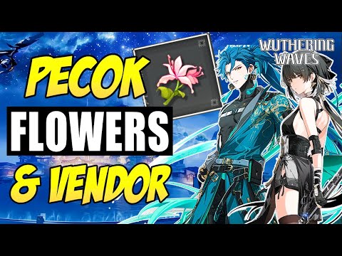 PECOK FLOWER & VENDOR: Rover & Jiyan | Wuthering Waves