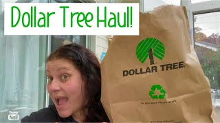 Dollar Tree Haul! 🛍️ October 4, 2025