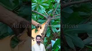 #shorts #agriculture #agritools #farming2024 #AdvanceAgriReactions