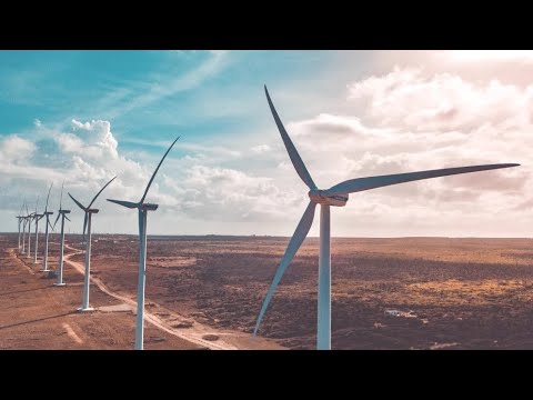 Future of Energy! 💨 Mini Wind Turbines in Action ⚡"