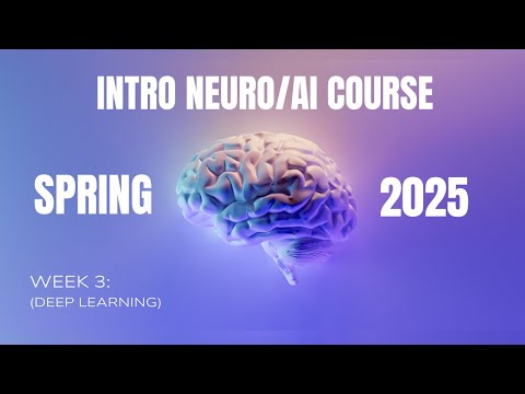 Deep Learning | Week 3 to the Intro Neuro/AI Course Spring 2025