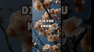 Fun Fact Mathematics Fibonacci Sequence #quiz #brainteasers #funfacts #funwithnumbers #quizzing #sci