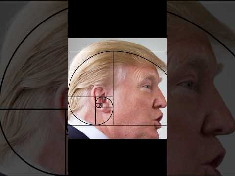 Every filmmaker should know these RULES #filmmakingtools #ruleofthirds #goldenratio #filmmaking
