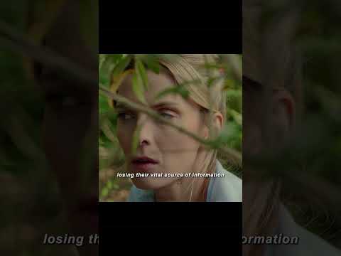 Don't you ever mess with honest folks #usmovie #movie #whydidntmyexcomeback #foryou #film